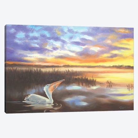 White Pelican I Canvas Print #RSR684} by D. "Rusty" Rust Canvas Art