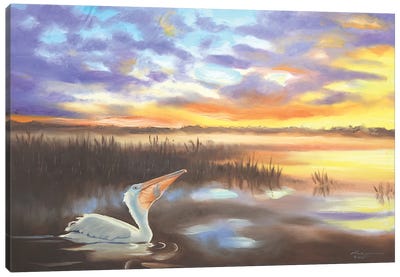 White Pelican I Canvas Art Print - Pelican Art