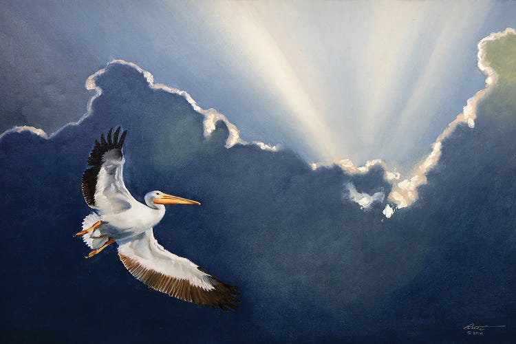 White Pelican II by D. "Rusty" Rust wall art