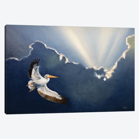 White Pelican II Canvas Print #RSR685} by D. "Rusty" Rust Canvas Art