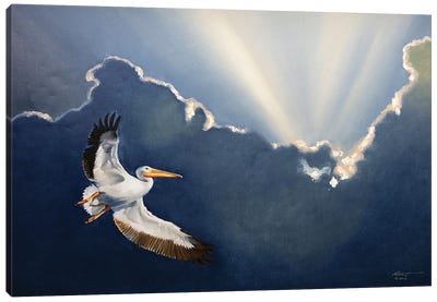 White Pelican II Canvas Art Print - Pelican Art