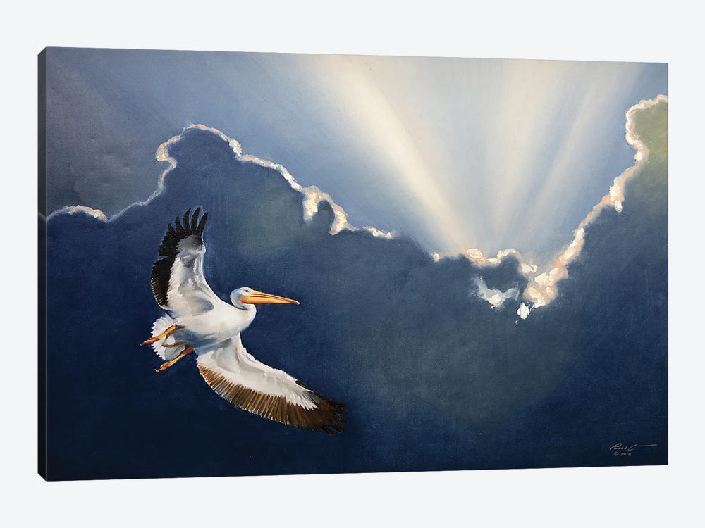 White Pelican II by D. "Rusty" Rust 1-piece Canvas Art