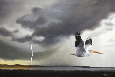 White Pelican III by D. "Rusty" Rust art print