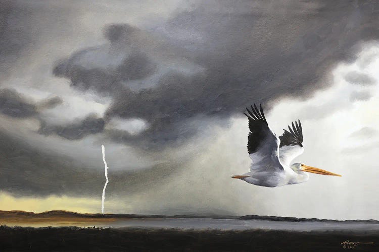 White Pelican III by D. "Rusty" Rust wall art