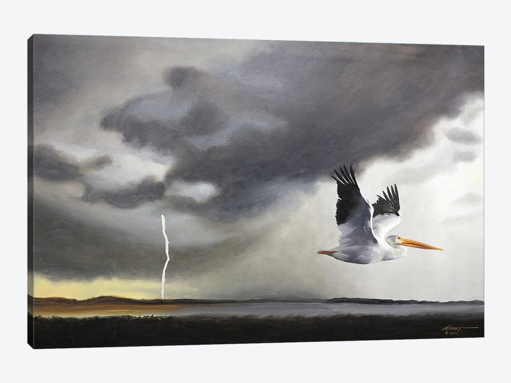White Pelican III by D. "Rusty" Rust 1-piece Canvas Print