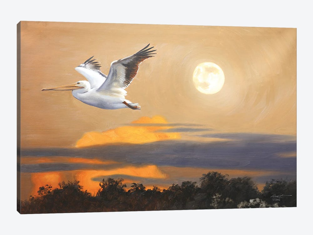 White Pelican IV by D. "Rusty" Rust 1-piece Canvas Artwork