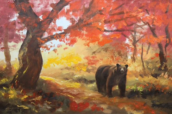 Black Bears: Black Bear by D. "Rusty" Rust