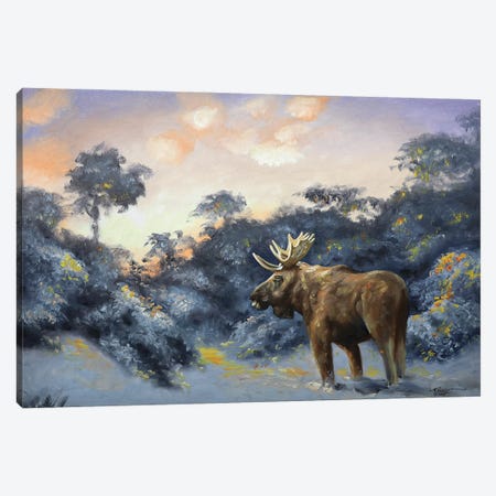 Moose Canvas Print #RSR85} by D. "Rusty" Rust Canvas Art Print