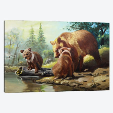 Brown Bears Canvas Print #RSR8} by D. "Rusty" Rust Art Print