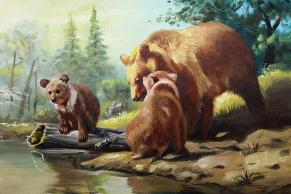 Brown Bears: Brown Bears by D. "Rusty" Rust