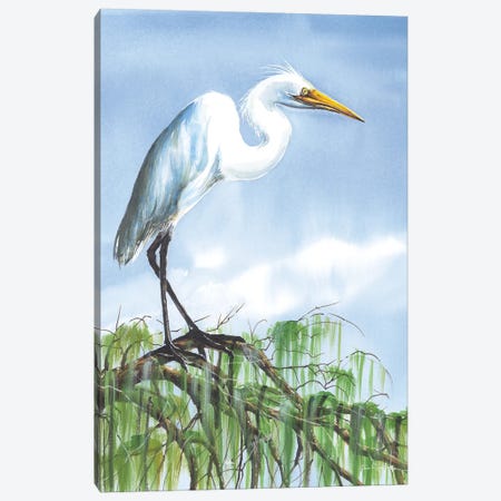 Perched On High Canvas Print #RSS23} by John Rossini Canvas Print