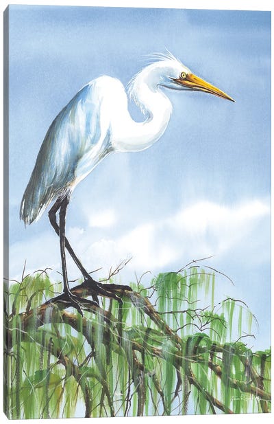 Perched On High Canvas Art Print