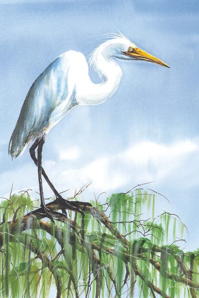 John Rossini: Perched On High by John Rossini