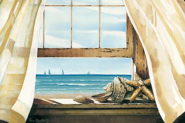 Sea Shells: Beach Treasures by John Rossini