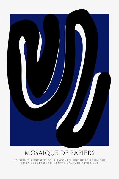 Black & White & Blue: Danse Des Formes by RS Lab Studio