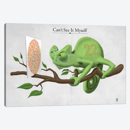 Can't See It Myself Canvas Print #RSW114} by Rob Snow Canvas Art