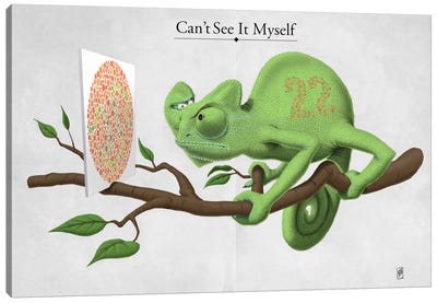 Can't See It Myself Canvas Art Print - Chameleon Art