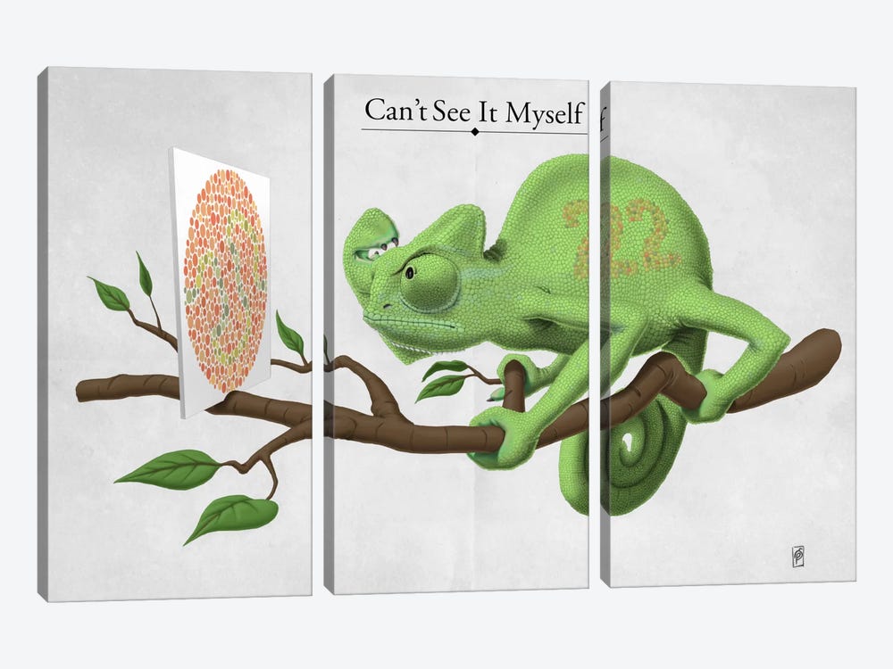 Can't See It Myself by Rob Snow 3-piece Canvas Art Print