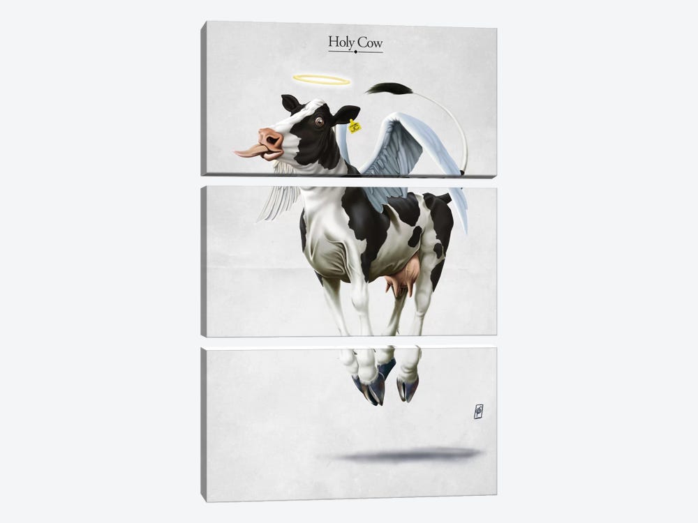 Holy Cow by Rob Snow 3-piece Canvas Print