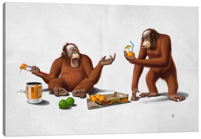 Orange Man III Canvas Art Print - Orangutans