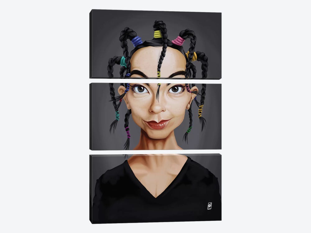 Björk by Rob Snow 3-piece Canvas Print