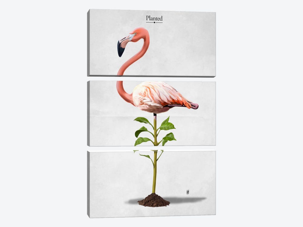 Planted I by Rob Snow 3-piece Canvas Wall Art