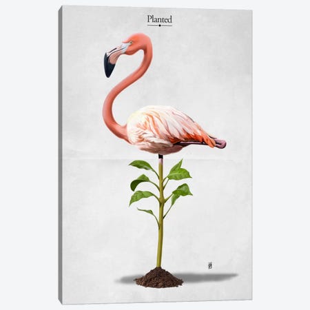 Planted I Canvas Print #RSW12} by Rob Snow Canvas Art