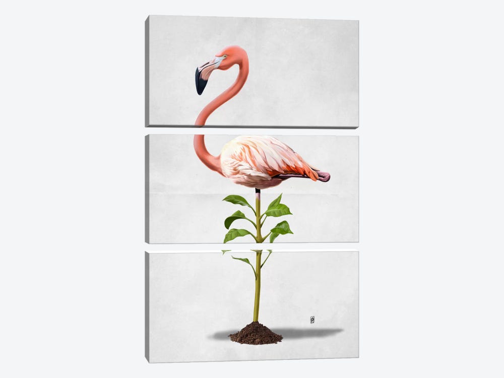 Planted II by Rob Snow 3-piece Canvas Art