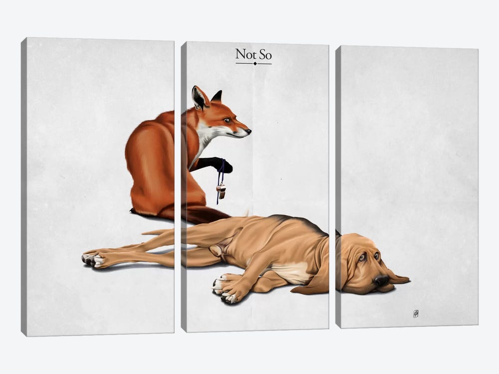 Not So I by Rob Snow 3-piece Canvas Artwork