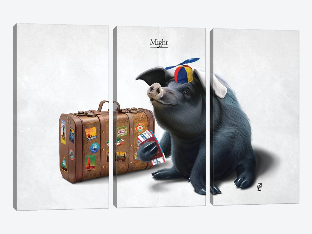Might I by Rob Snow 3-piece Canvas Artwork
