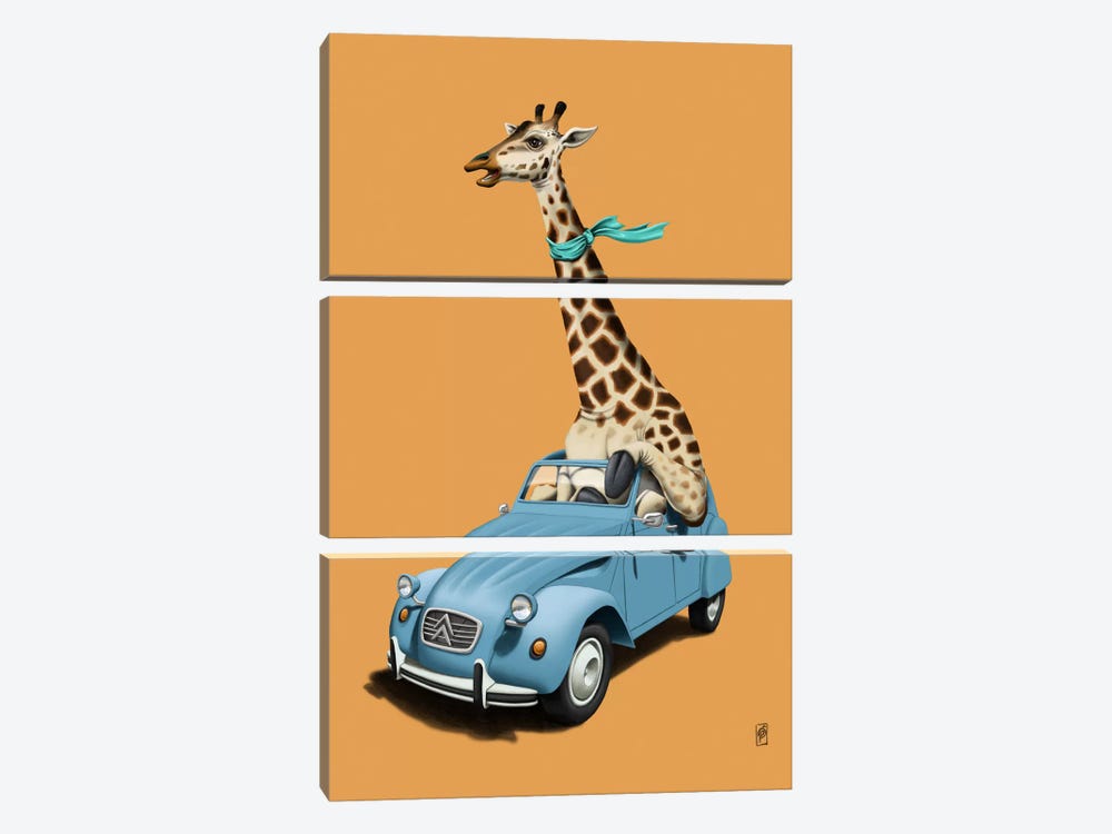 Riding High! III by Rob Snow 3-piece Canvas Wall Art