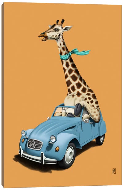 Riding High! III Canvas Art Print - Giraffe Art