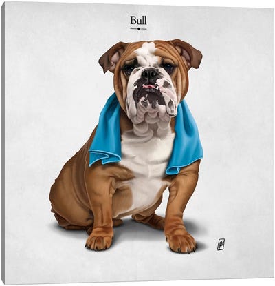 Bull I Canvas Art Print - Bulldog Art
