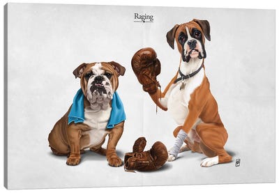 Raging I Canvas Art Print - Bulldog Art