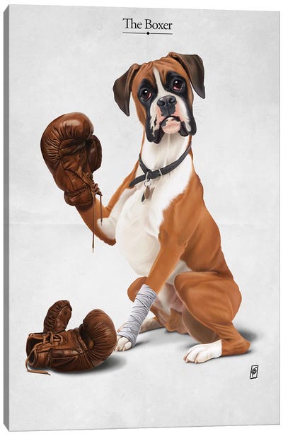 The Boxer I Canvas Art Print - Kids Animal Art