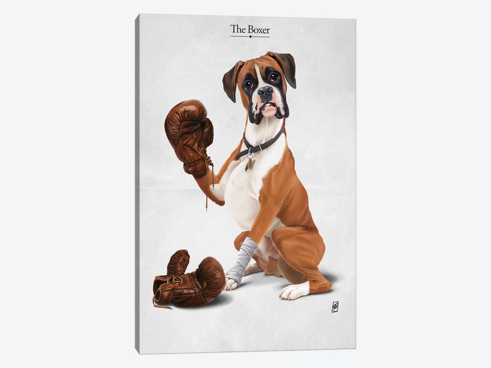 The Boxer I 1-piece Canvas Wall Art
