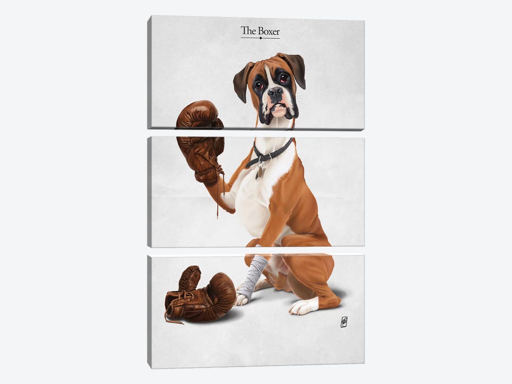 The Boxer I by Rob Snow 3-piece Canvas Wall Art