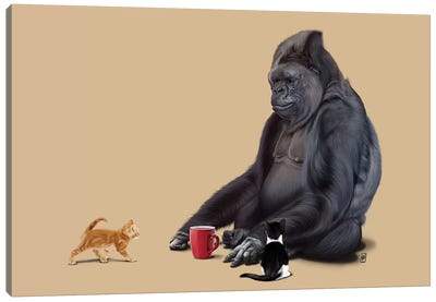 I Should Koko Canvas Art Print - Primate Art