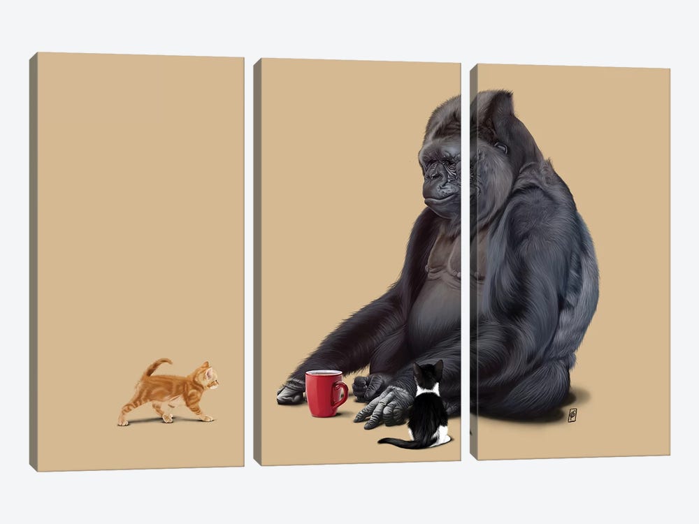I Should Koko by Rob Snow 3-piece Canvas Artwork