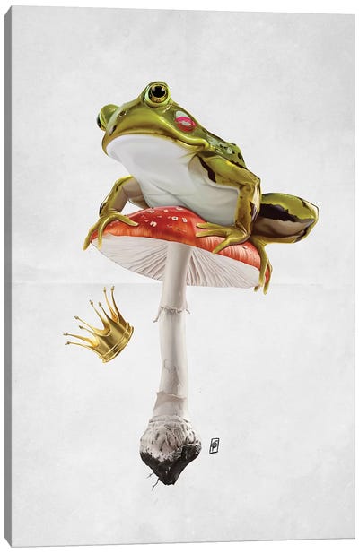 Kiss Canvas Art Print - Frog Art