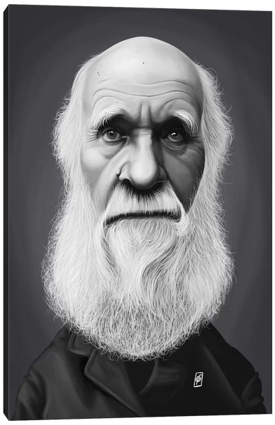 Charles Darwin Canvas Art Print - Rob Snow