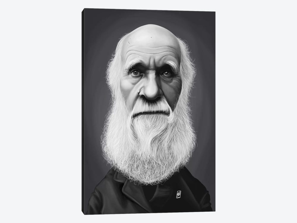 Charles Darwin by Rob Snow 1-piece Canvas Art Print