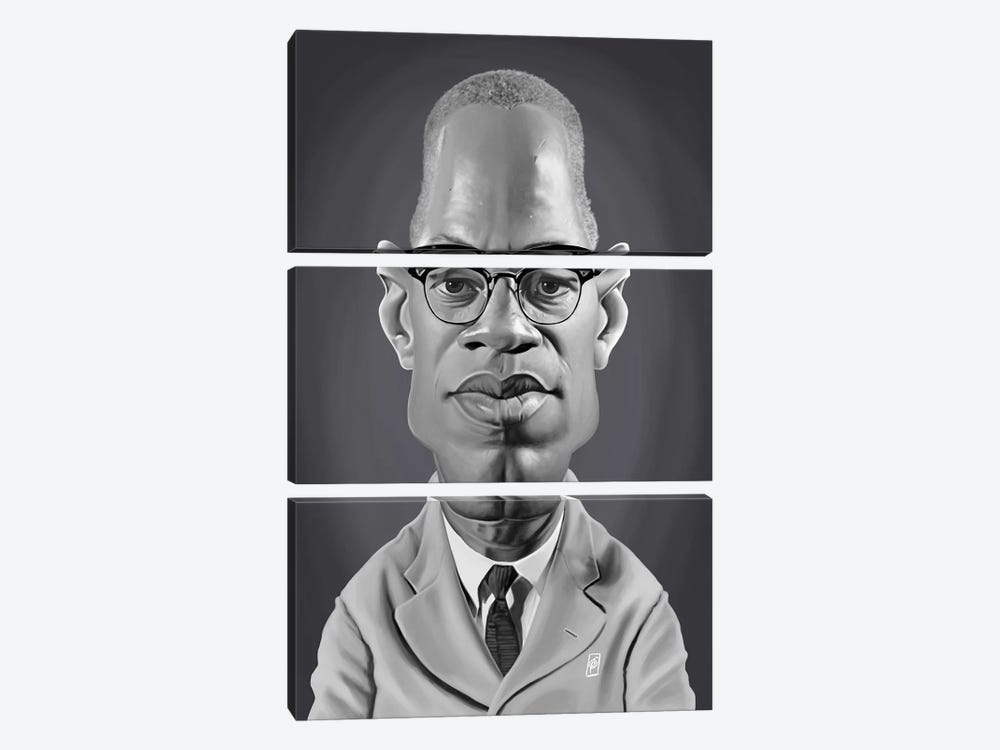 Malcolm X by Rob Snow 3-piece Art Print