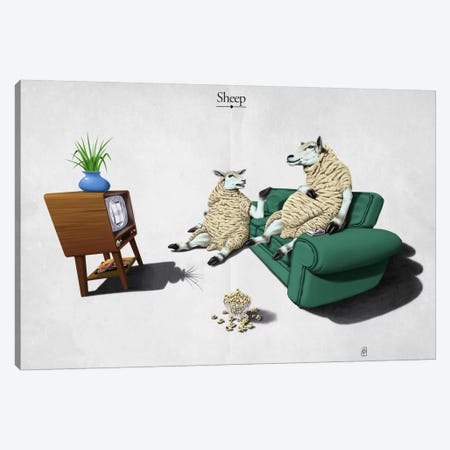 Sheep Canvas Print #RSW27} by Rob Snow Canvas Art