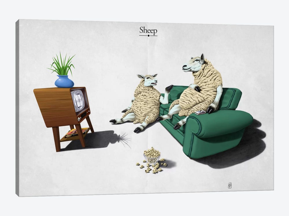 Sheep by Rob Snow 1-piece Canvas Artwork
