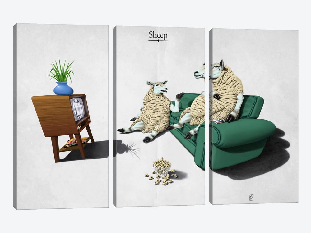 Sheep by Rob Snow 3-piece Canvas Wall Art