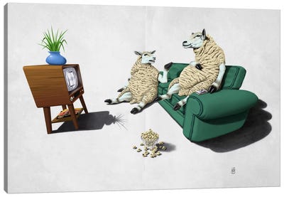 Sheep II Canvas Art Print - Sheep Art