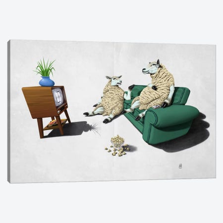 Sheep II Canvas Print #RSW29} by Rob Snow Canvas Print