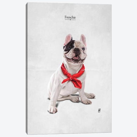 Frenchie I Canvas Print #RSW309} by Rob Snow Canvas Artwork