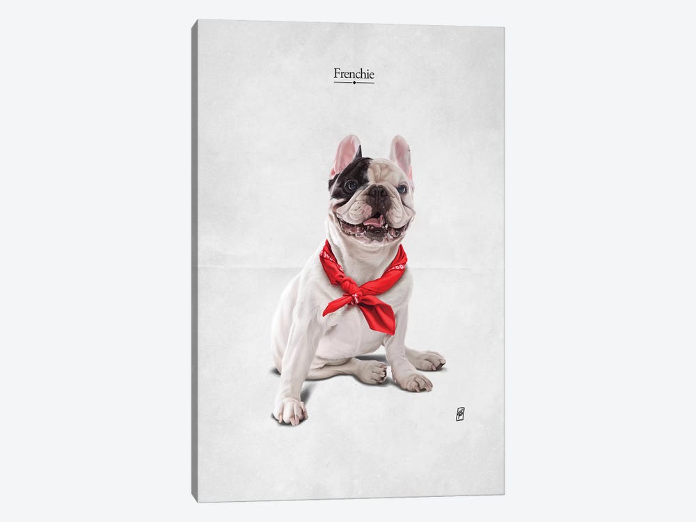 Frenchie I by Rob Snow 1-piece Canvas Wall Art
